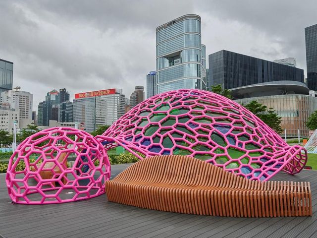 展品:《愛回家》