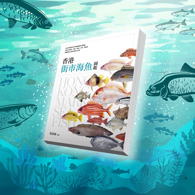 香港海魚大追蹤
