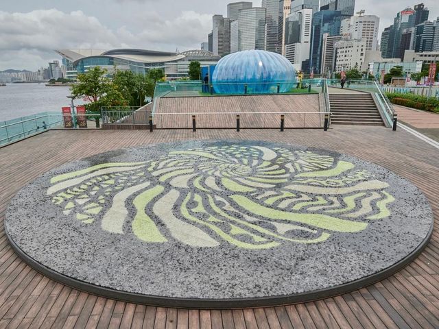 展品:《永恆光海貝》