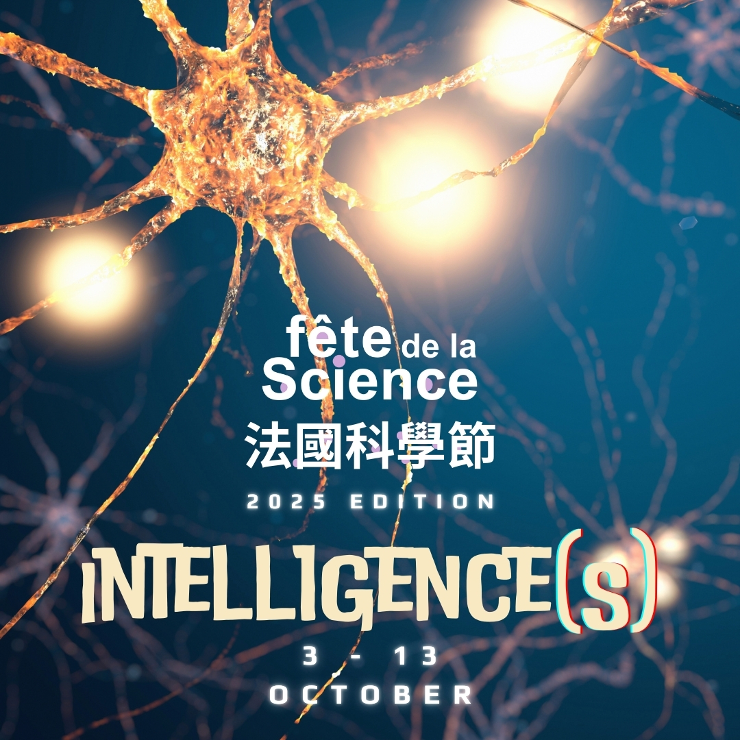 法國科學節