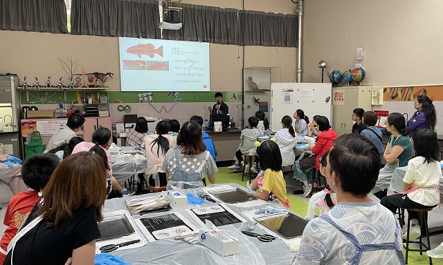 香港海魚全接觸