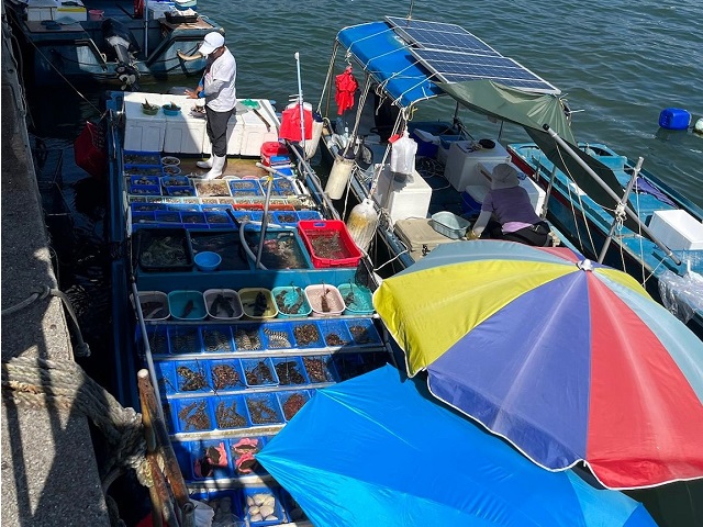 香港海魚大追蹤