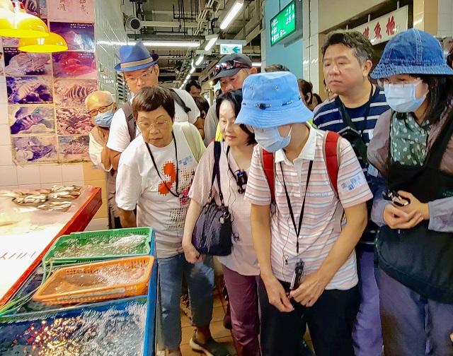 香港海魚全接觸